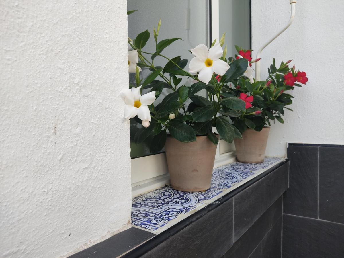 Apartamento 700 Metros De La Playa Playa Flamenca Extérieur photo